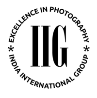 IIG 2025 – 205 IIG